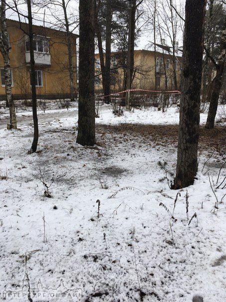 В Большой Ижоре зверски убит местный старичок алкоголик,по словам экспертов ему раскроили череп топо...