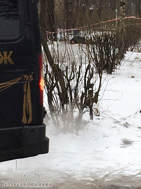 В Большой Ижоре зверски убит местный старичок алкоголик,по словам экспертов ему раскроили череп топо...