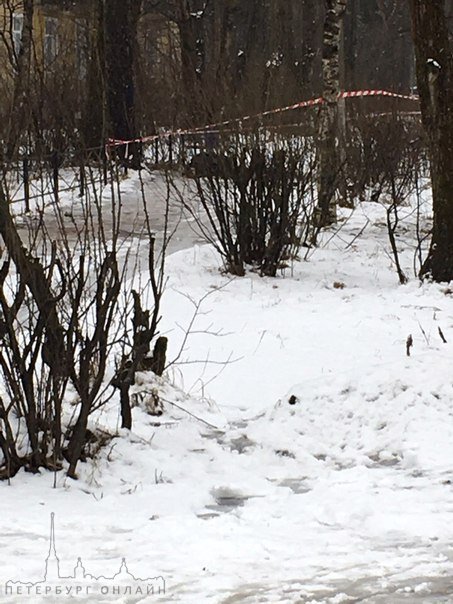 В Большой Ижоре зверски убит местный старичок алкоголик,по словам экспертов ему раскроили череп топо...