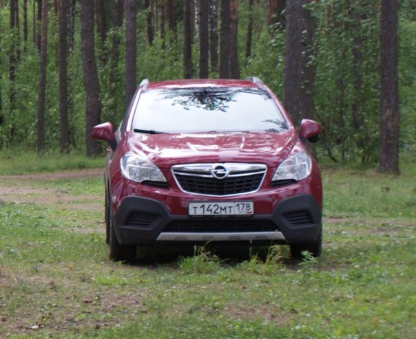 В пятницу 24 марта 2017 года примерно с 19:45 до 20:00 угнали машину Opel mokka 2014 года выпуска.