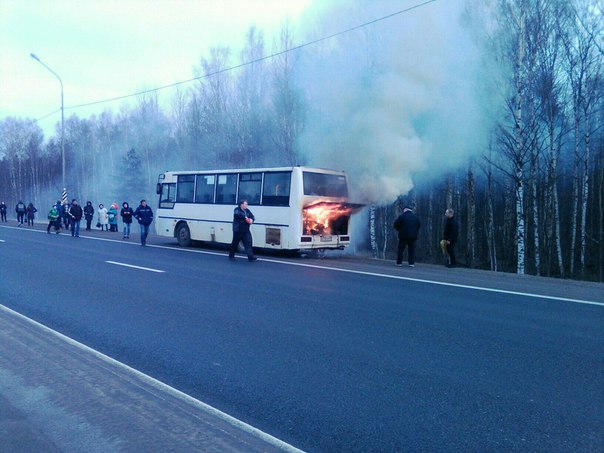 Горит автобус на Мурманском шоссе, перед Синявино 1