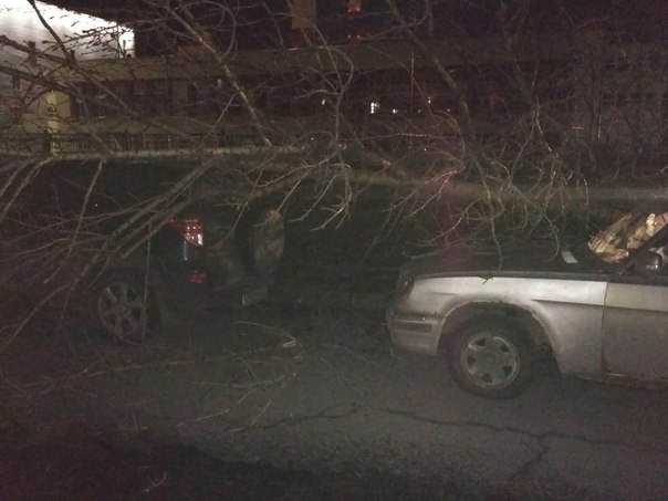 На Кирилловской улице (угол с 8-ой советской) упало дерево. Две машины под ветками, визуально без си...