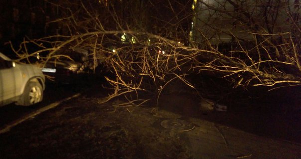 На Кирилловской улице (угол с 8-ой советской) упало дерево. Две машины под ветками, визуально без си...