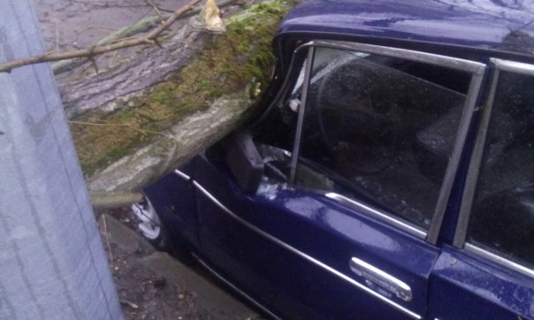На Энгельса 63/2 во дворе , на проезжей части упало дерево , две машины поврежденны.