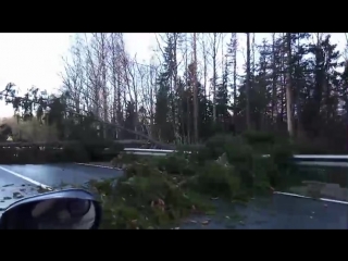 Водители, будьте внимательны!!! На дороге лежит три ели Спб- Новая Ладога.