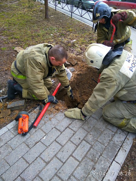 Вчера вечером в Ново-Девяткино у д.61 потерялась такса. Кобель старый, глухой, слепой. Полночи бегал...