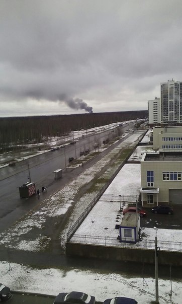 Вид с Шуваловского примерно на Левашово.