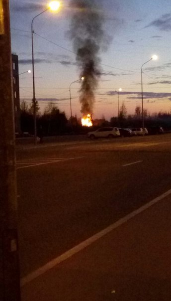 В Московской Славянке горят заброшенные дачи