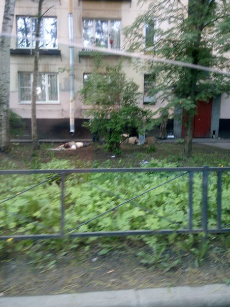 Труп у дома на улице Костюшко , почти рядом с детской поликлиникой, будьте аккуратнее, чтобы дети не...