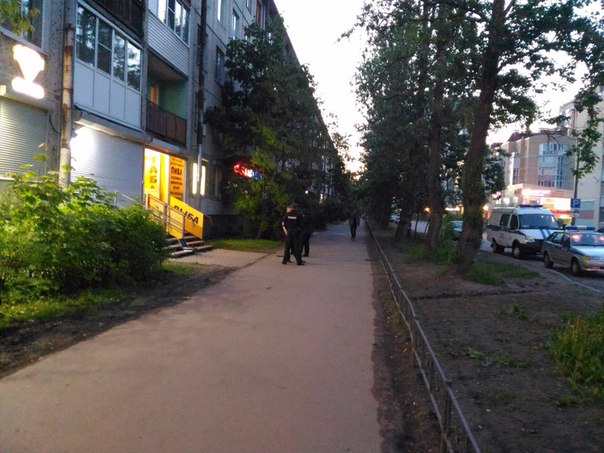 На Пулковской улице около дома 19 на асфальте лежит пистолет, рядом лужа крови. На месте полиция с э...
