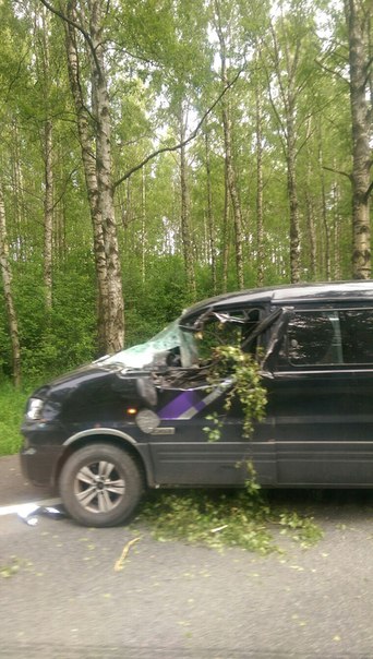 Упало дерево, небольшая пробка на Приморском шоссе 38 км, после Сестрорецка,МЧС на месте.