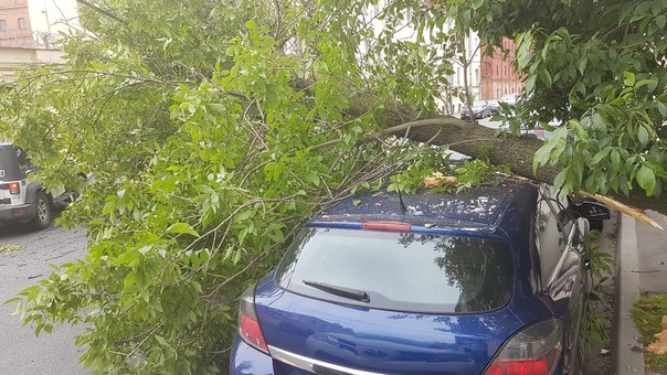 На улице Степана Разина 9, упало дерево на автомобиль