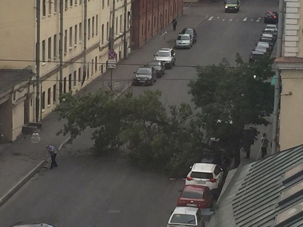 На улице Степана Разина 9, упало дерево на автомобиль
