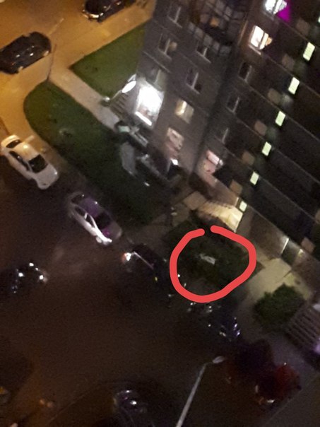 На Парнасе девушка выпала с 25-го этажа