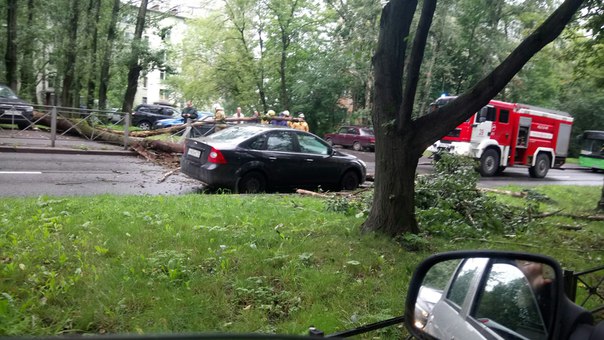 На Костюшко,22 упало дерево через всю проезжую часть. Легковые по дворам,крупный калибр стоит до уст...