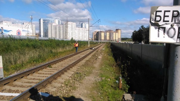 На ЖД переходе возле Приморского проспекта лежит труп,