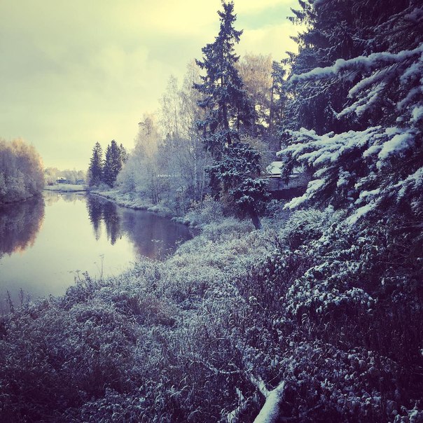 В Ленинградской области сегодня выпал первый снежок! ❄ ЗИМА БЛИЗКО!