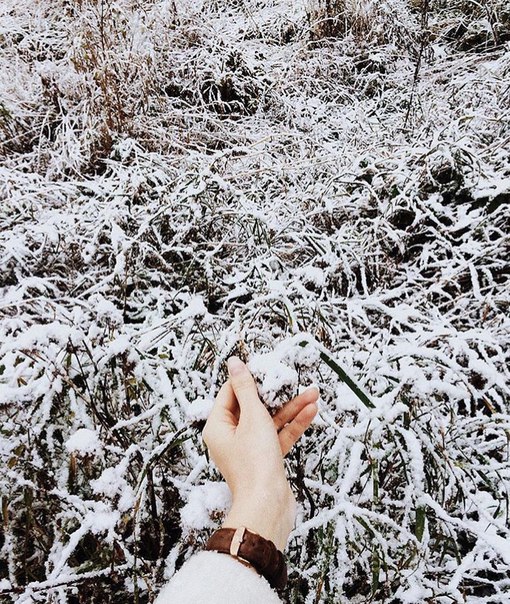 В Ленинградской области сегодня выпал первый снежок! ❄ ЗИМА БЛИЗКО!