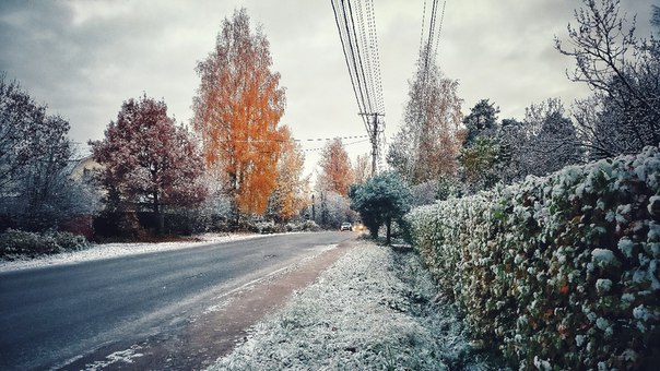 В Ленинградской области сегодня выпал первый снежок! ❄ ЗИМА БЛИЗКО!