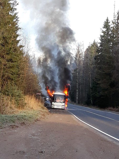 На трассе Светогорск — Петербург сгорел рейсовый автобус