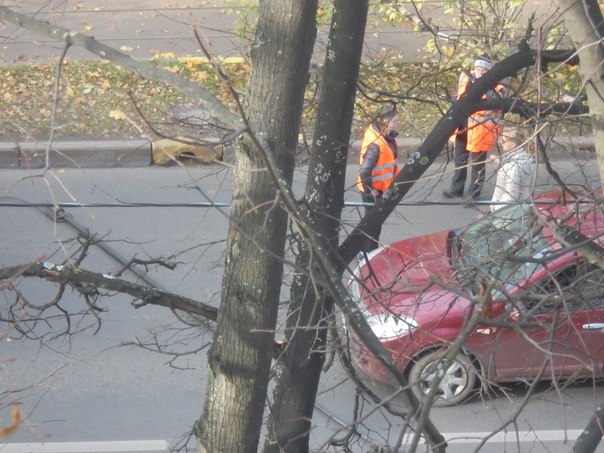 Институтский проспект,у перекрестка с Новороссийской, у троллейбуса отвалился "рог" и упал на Renault С...