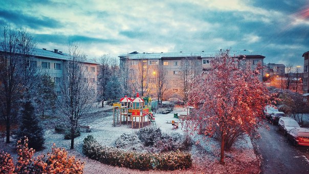 В Ленинградской области сегодня выпал первый снежок! ❄ ЗИМА БЛИЗКО!