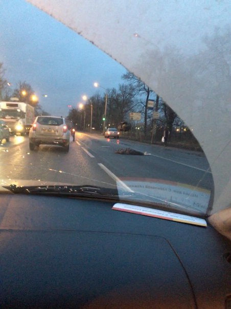 На Московском шоссе в районе 8:10 утра сбили человека насмерть. Прямо у поста ГАИ. В ДТП участвовал ...