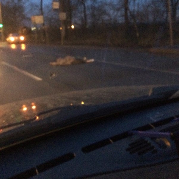 На Московском шоссе в районе 8:10 утра сбили человека насмерть. Прямо у поста ГАИ. В ДТП участвовал ...