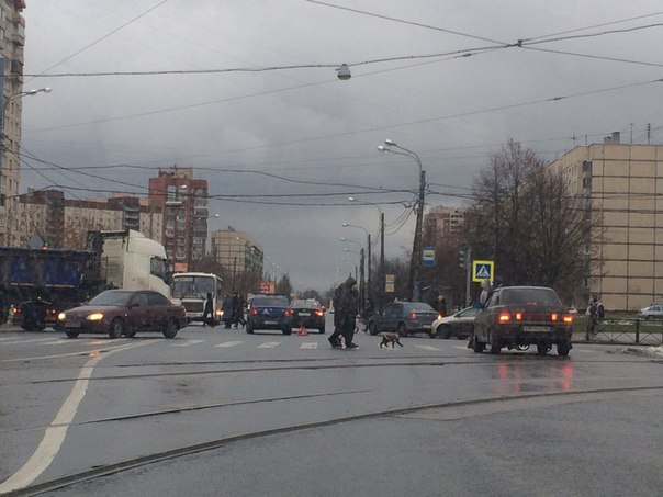 Проспект Обуховской обороны в сторону Рыбацкого.