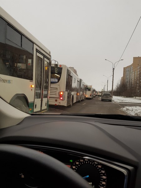 Стоят автобусы на пр. Авиаконструкторов от Шуваловского пр.