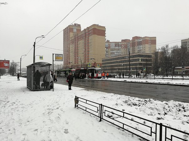 Трамваи на Бухарестской около музыкальной школы встали в сторону Купчино.
