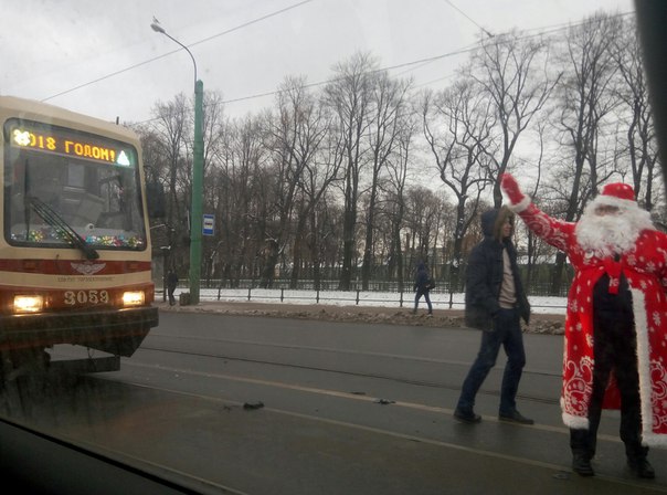 Рождественское ДТП с трамваем у Летнего сада.