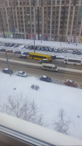 Автобус не смог объехать участников ДТП на проспекте Просвещения между Симонова и Хошимина .