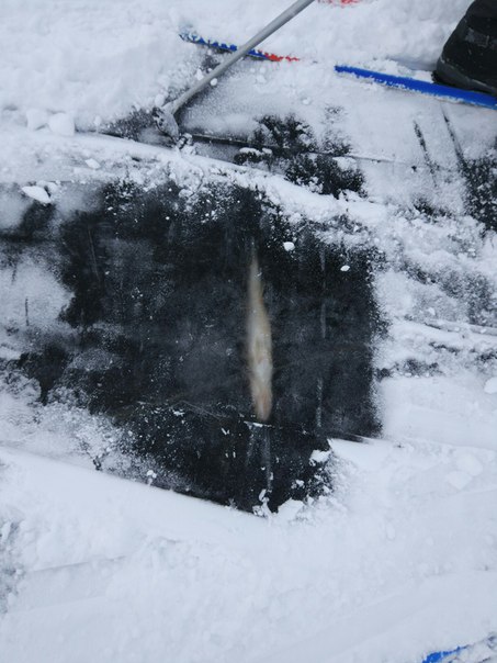 21 января в Финском заливе поперёк входа в морской порт нашли вмёрзшую в лёд не убранную рыбацкую се...