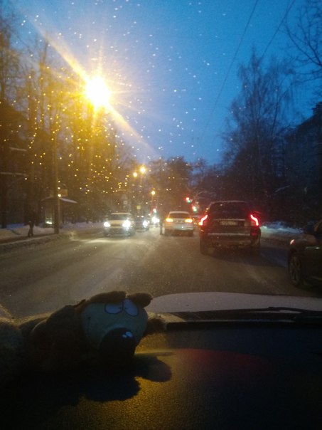 Audi приехала в Шкоду на Институтском проспекте, почти перед Новороссийской.