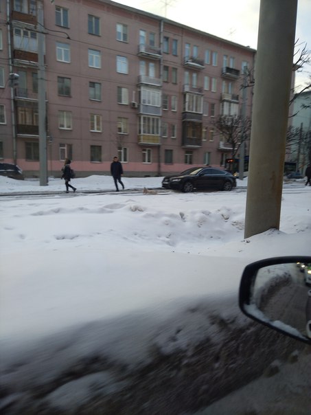 На Новочеркасском перед Гранитной audi застрял на трамвайных путях. Соответственно трамваи все стоят...