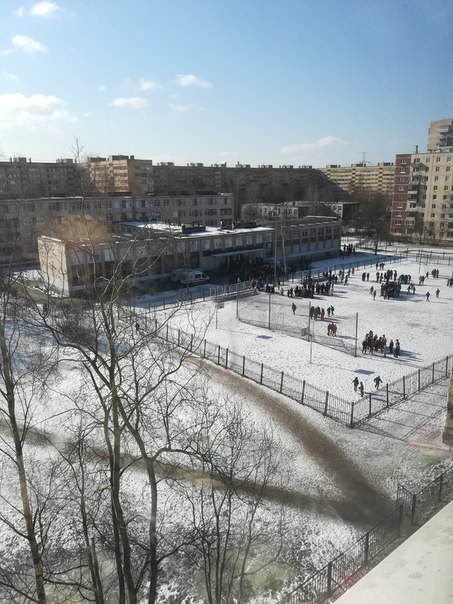 Из школы №247 Красносельского района эвакуировали учеников