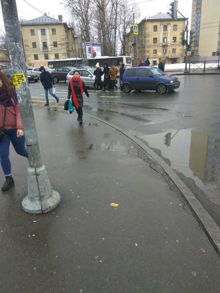 На Заневском перед перекрестком, Киа и что-то непонятное на пешеходном переходе