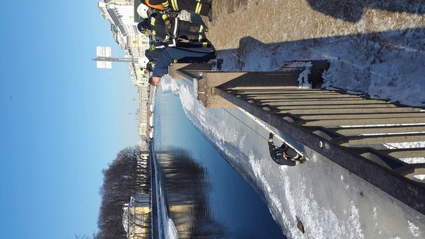 Фонтанка. Напротив Летнего сада. Спасатели вызволяют вмерзшую в лёд чайку. Есть ещё доброта на этой ...