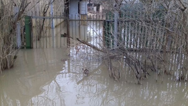 Наводнение в садоводстве Кировец-2 по Красносельскому шоссе, после Новоселья. Ломоносовский р-на Лен...