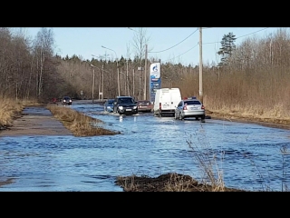 В Петергофе Астромическая улица имеет народное название "Пьяная дорога"