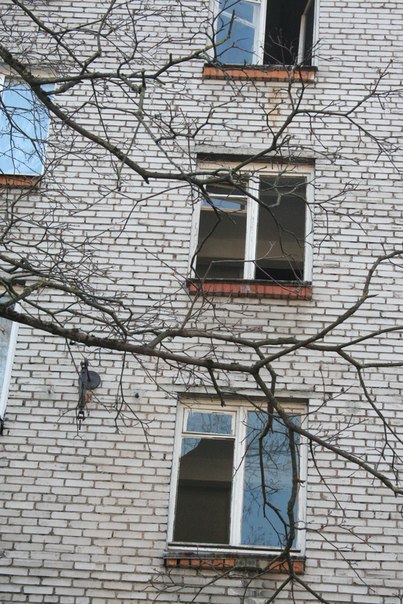 Сегодня, 15 апреля в 12 часов, в городе Гатчина, улица Киргетова, в одном из домов на третьем этаже ...