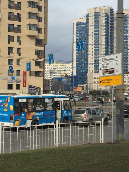 На Коломяжском, перед Королева, маршрутный автобус К127 неудачно перестроился и задел Renault Дастер