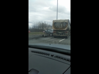 В начале Софийской в сторону Колпино, леон на обочине , перед разворотом