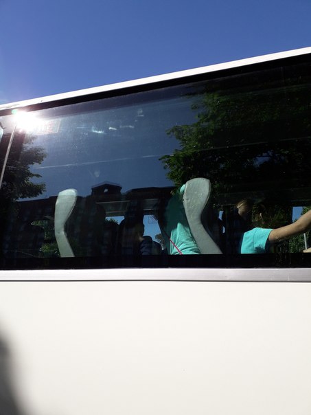 Благодаря ИП Дигин 5 автобусов с детьми с 10 утра до 15 ждали отправления с Выборгского шоссе в лаге...