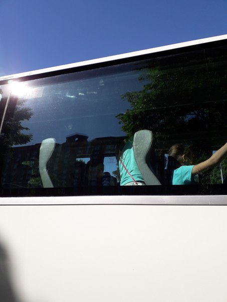 Благодаря ИП Дигин 5 автобусов с детьми с 10 утра до 15 ждали отправления с Выборгского шоссе в лаге...