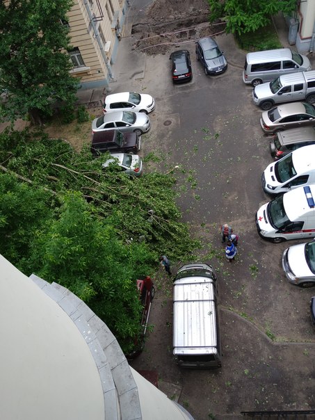Во дворе дома 39 по Большеохтинскому проспекту упало дерево на припаркованные автомобили. В одной из...