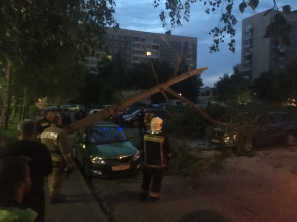 Упало дерево . 2 машины в пострадало . Чудновского 8 корп .1