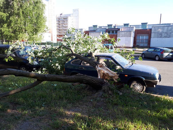 Последствия урагана в Санкт-Петербурге. Сломанные деревья, лежащие на автомобилях