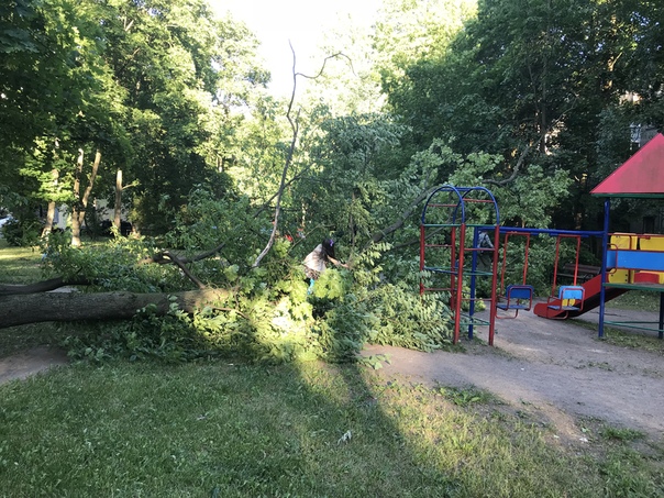 Во дворе по улице Орбели 20, на детскую площадку упали 2 дерева, никто не пострадал.
